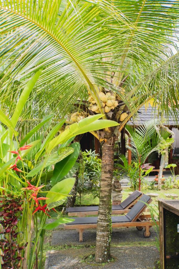 Mancur Guesthouse Ubud Dış mekan fotoğraf