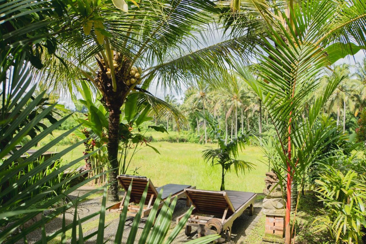 Mancur Guesthouse Ubud Dış mekan fotoğraf