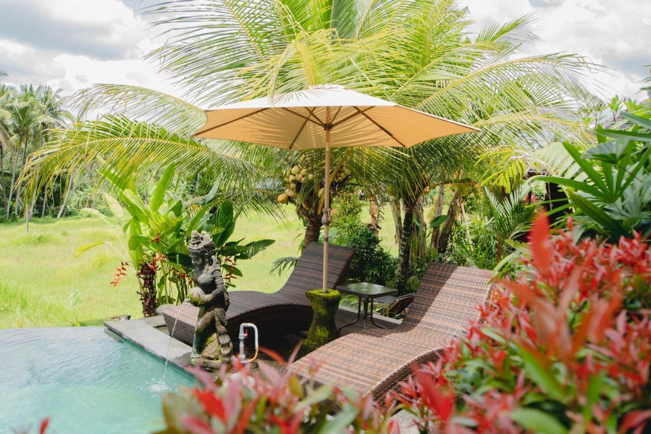 Mancur Guesthouse Ubud Dış mekan fotoğraf