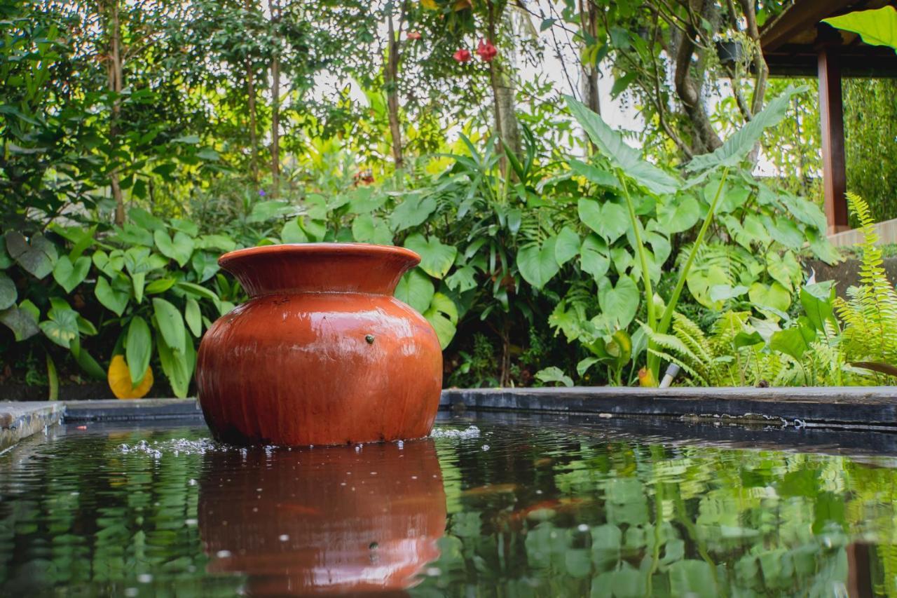 Mancur Guesthouse Ubud Dış mekan fotoğraf