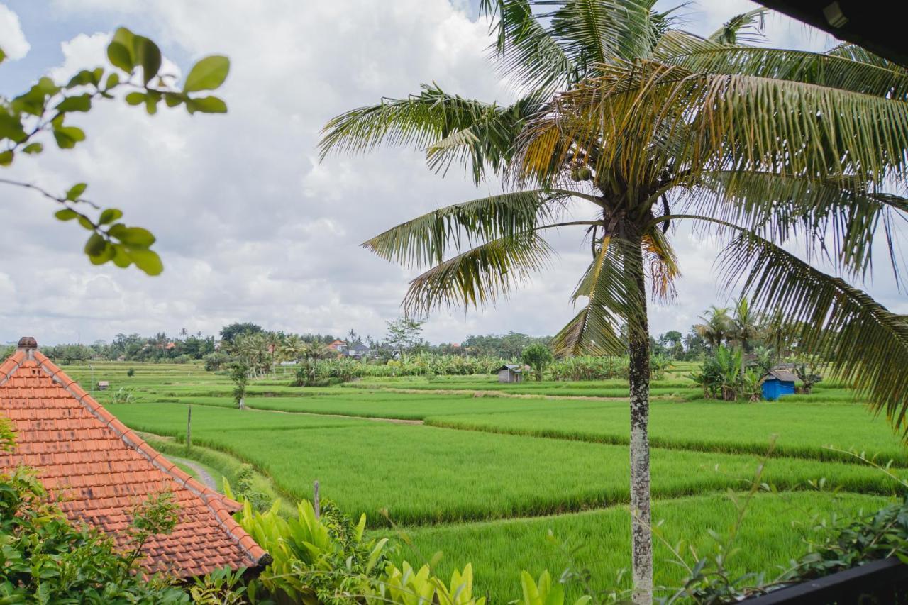 Mancur Guesthouse Ubud Dış mekan fotoğraf