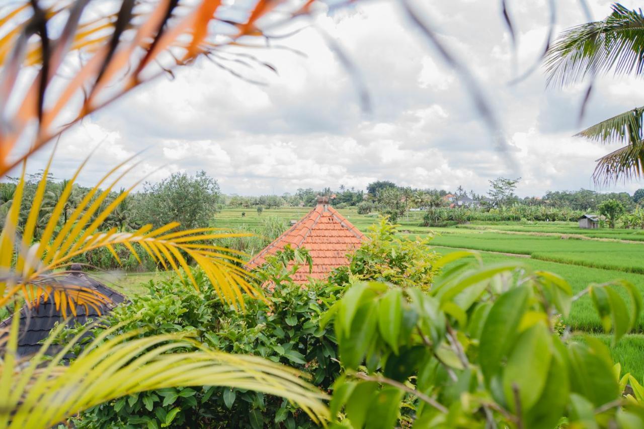 Mancur Guesthouse Ubud Dış mekan fotoğraf