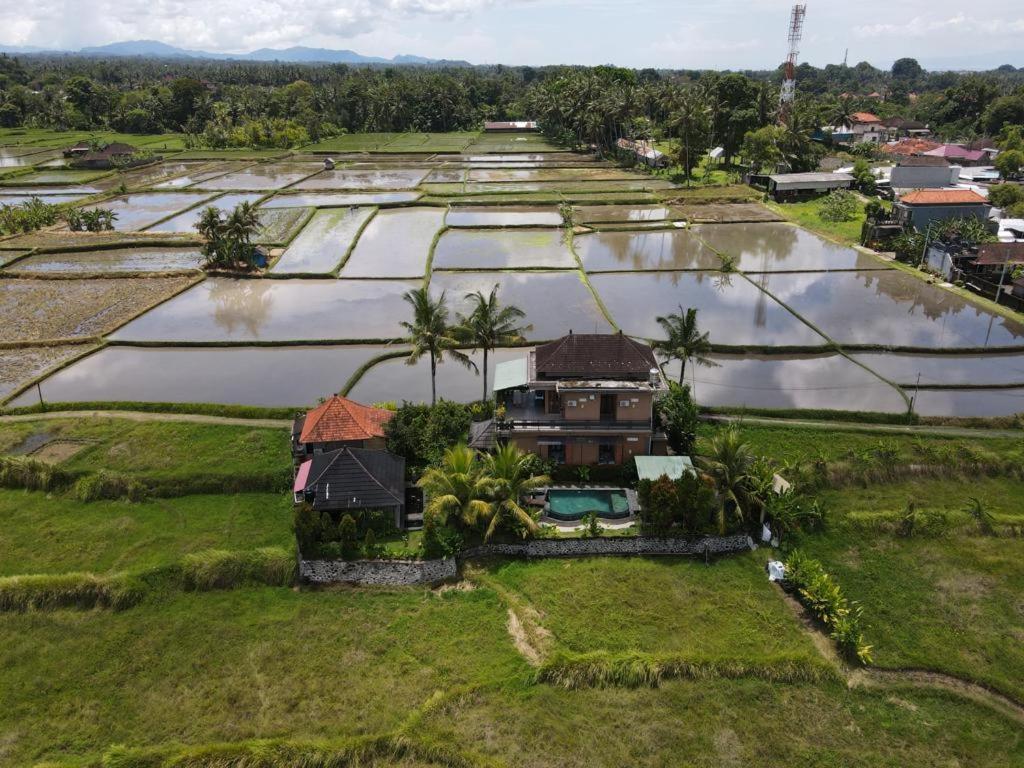 Mancur Guesthouse Ubud Dış mekan fotoğraf