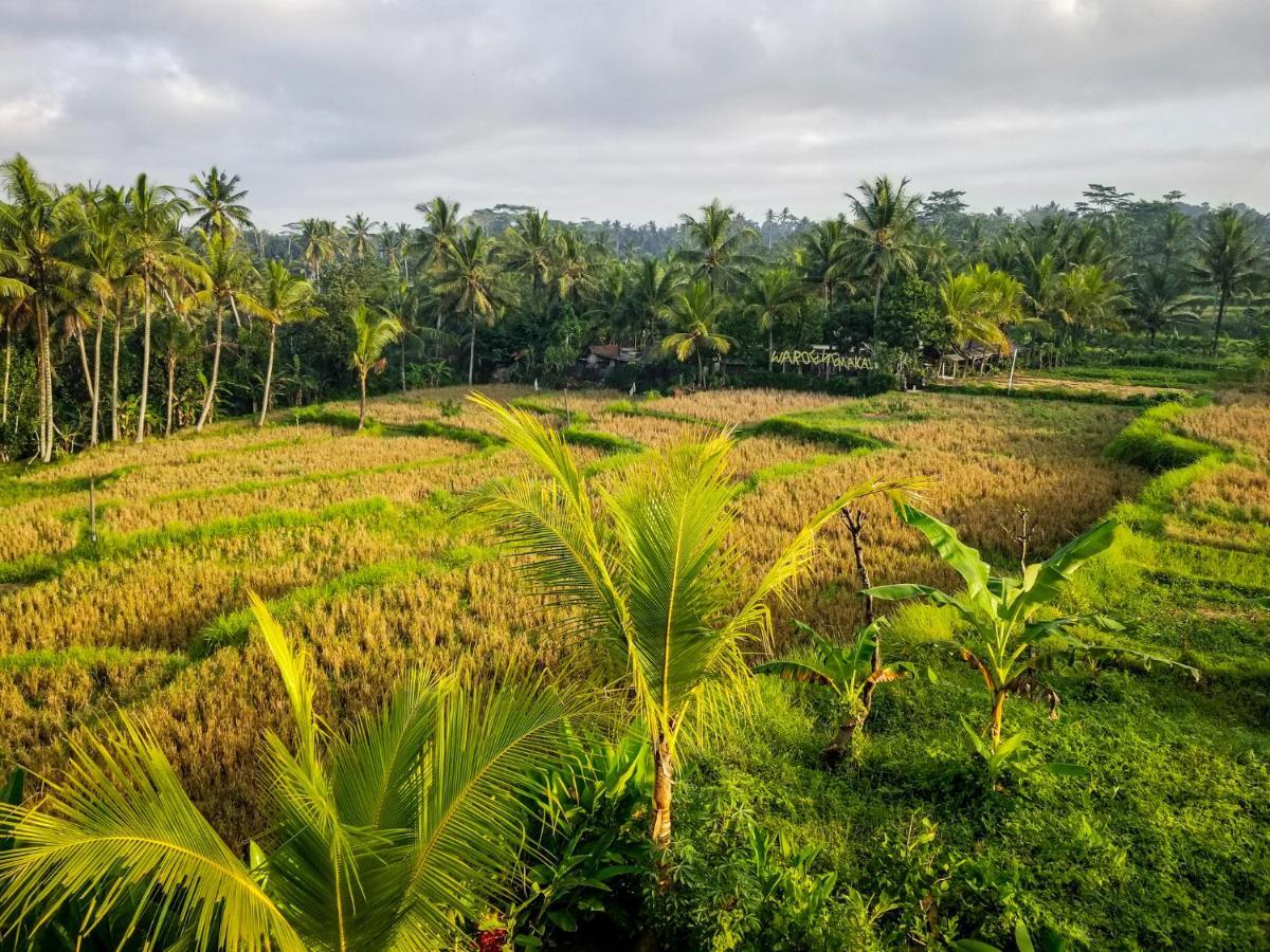 Mancur Guesthouse Ubud Dış mekan fotoğraf